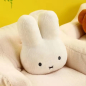 Peluche Lapin Kawaii