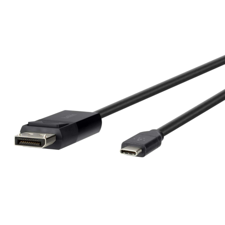 Câble USB-C vers DisplayPort 1,80 mètres
