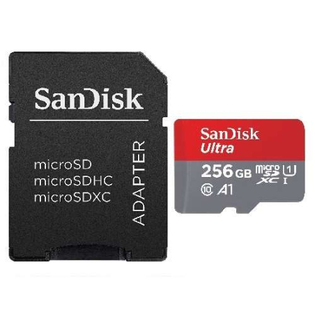 Carte SD MicroSDHC 256 Go SDSQUAR-256G-GN6MA