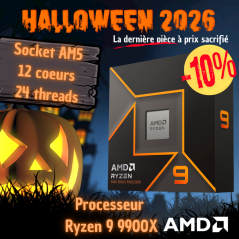Ryzen 9 9900X