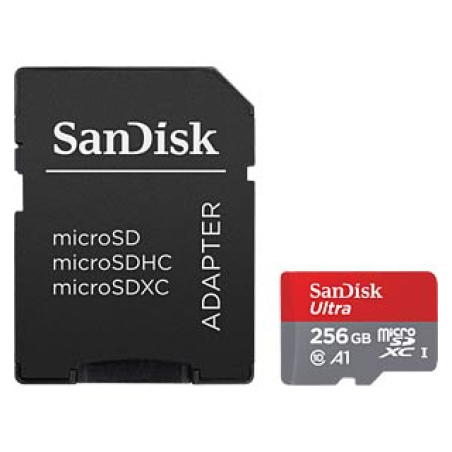Carte SD MicroSDHC 256 Go SDSQUAB-256G-GN6MA