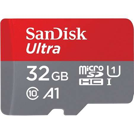 Carte SD MicroSDHC 32 Go SDSQUA4-032G-GN6IA